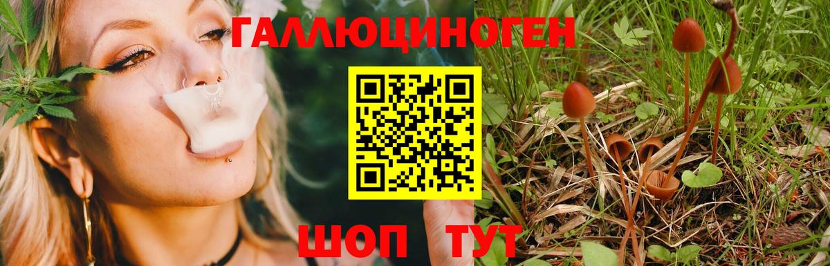 Галлюциногенные грибы мухоморы  Вход с VPN  Павловский Посад  Псилоцибиновые грибы мухоморы 