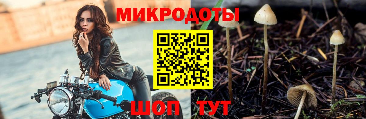 Галлюциногенные грибы мухоморы Павловский Посад